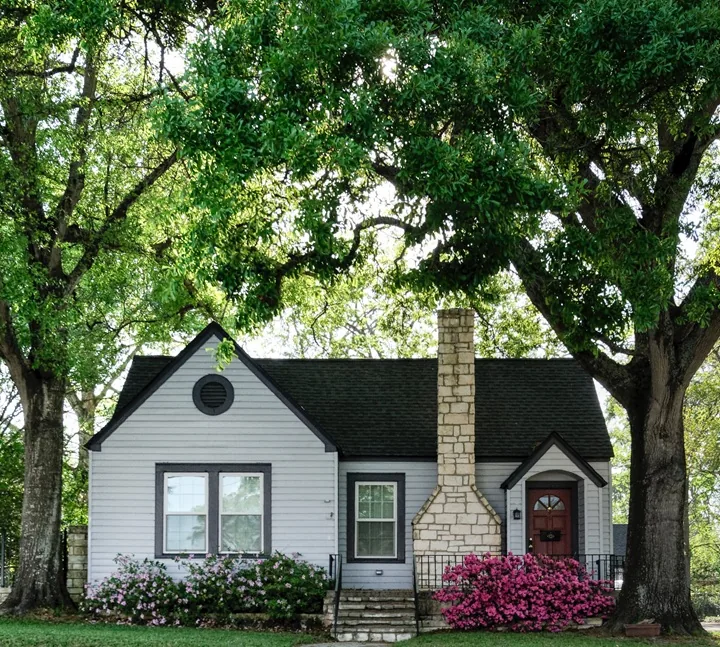 How Often Should You Clean Your Roof in SW Washington?