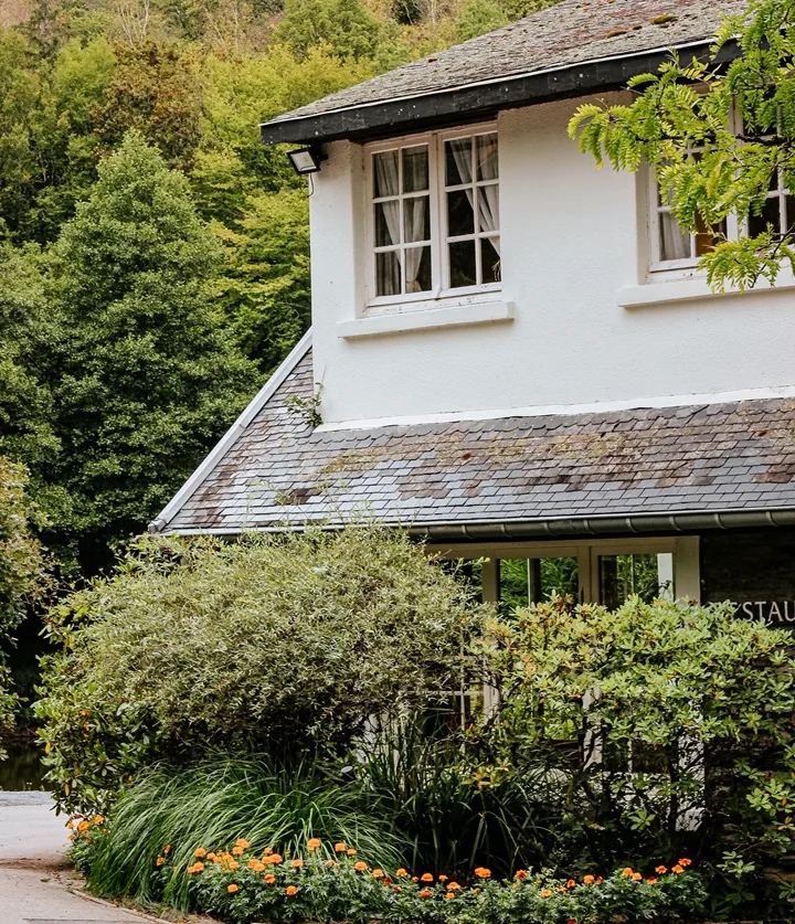 Roof Maintenance in the Pacific Northwest: What You Need to Know
