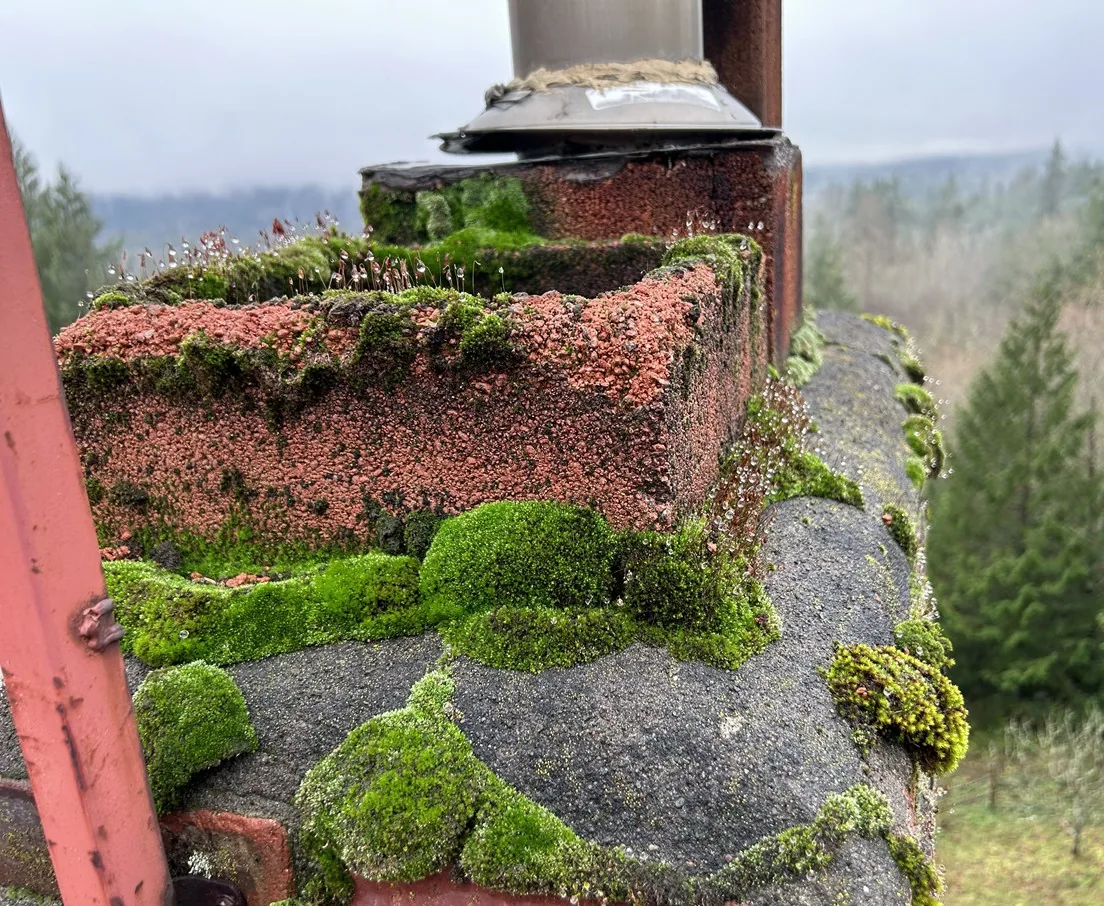 Chimney Crown Repair: What It Is and Why It Matters