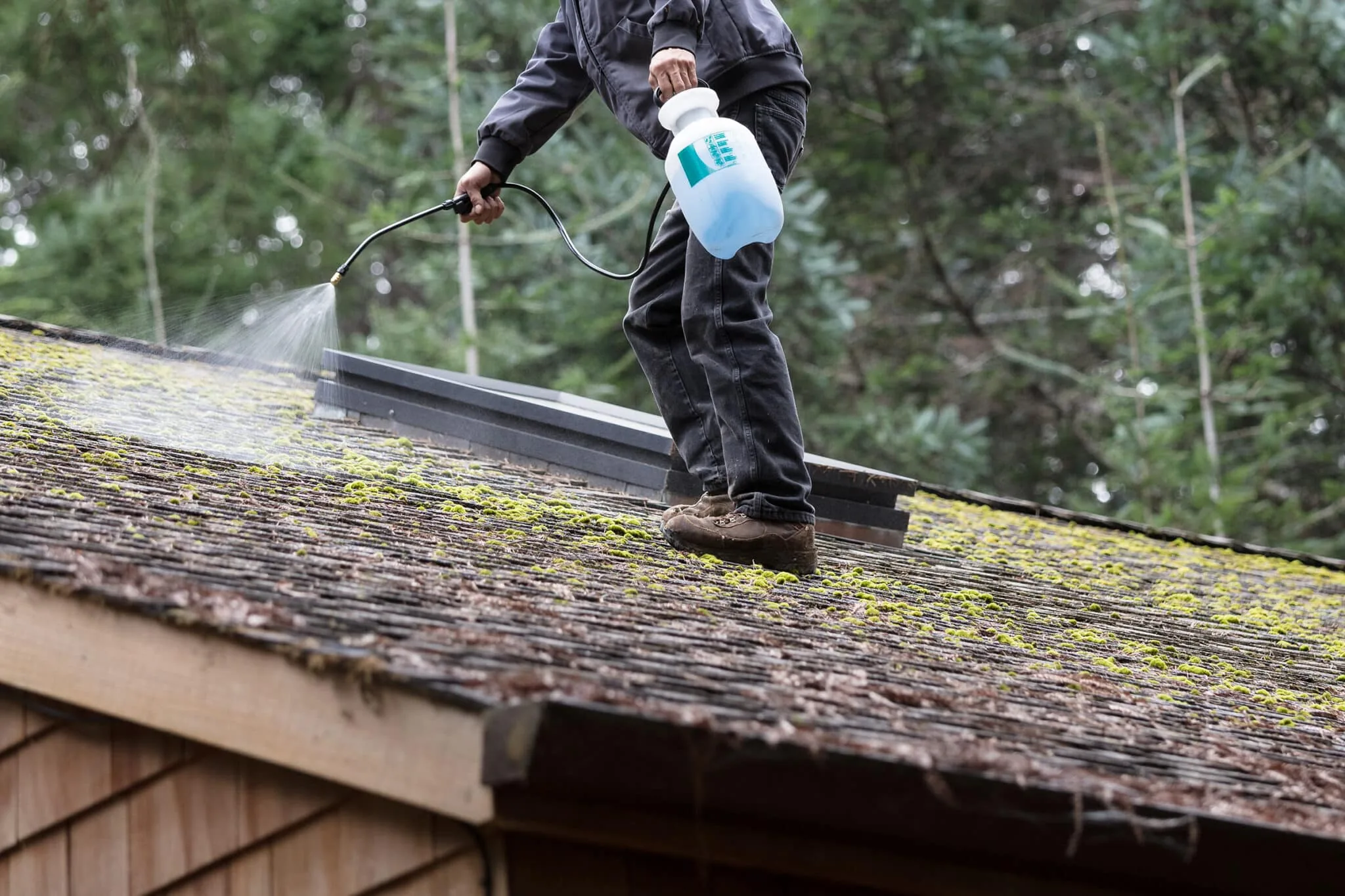 A Complete Chimney Maintenance Schedule for PNW Homeowners