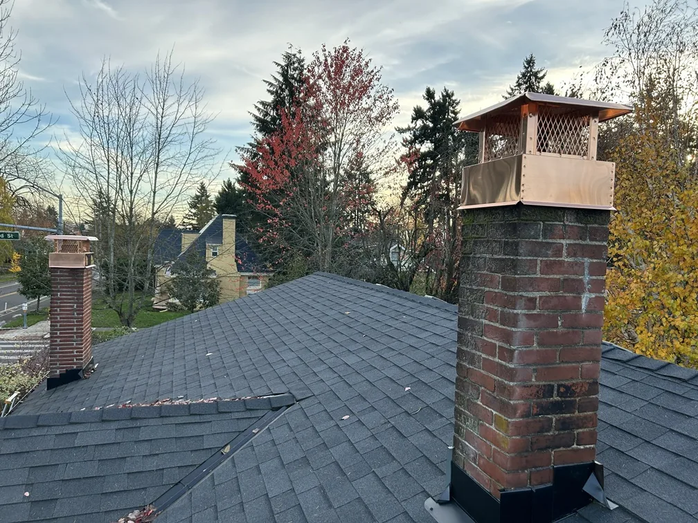 Chimney Cap Install work photo